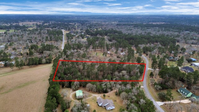 26020 Pine Shadows Dr, Hockley, TX 77447 - photo 43