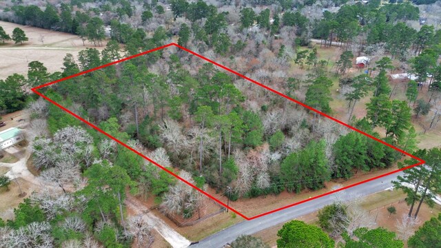 26020 Pine Shadows Dr, Hockley, TX 77447 - photo 45