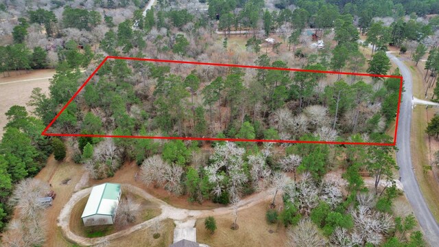 26020 Pine Shadows Dr, Hockley, TX 77447 - photo 46