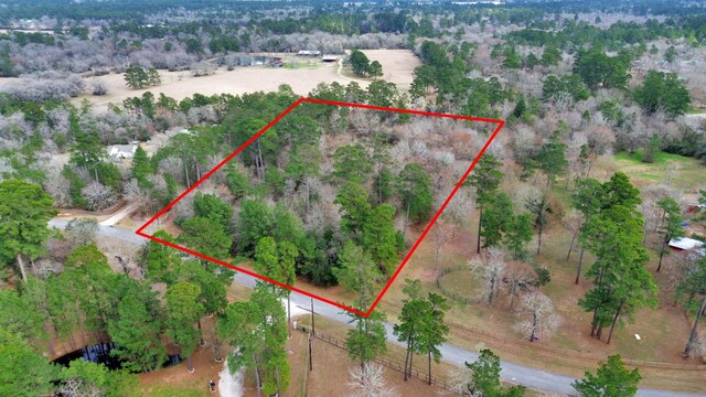 26020 Pine Shadows Dr, Hockley, TX 77447 - photo 47