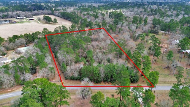 26020 Pine Shadows Dr, Hockley, TX 77447 - photo 5