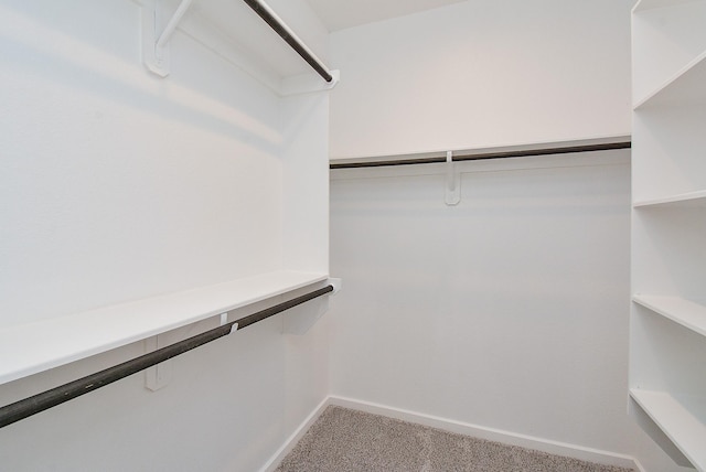 walk in closet with light colored carpet