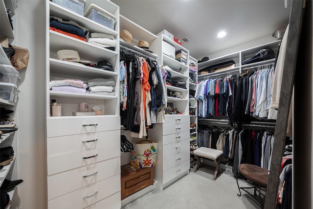 view of spacious closet