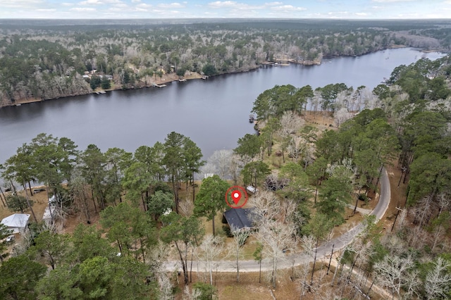 drone / aerial view with a water view and a view of trees