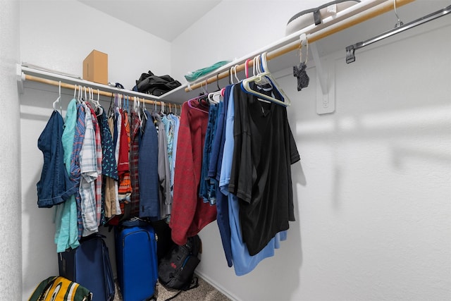 walk in closet featuring carpet flooring