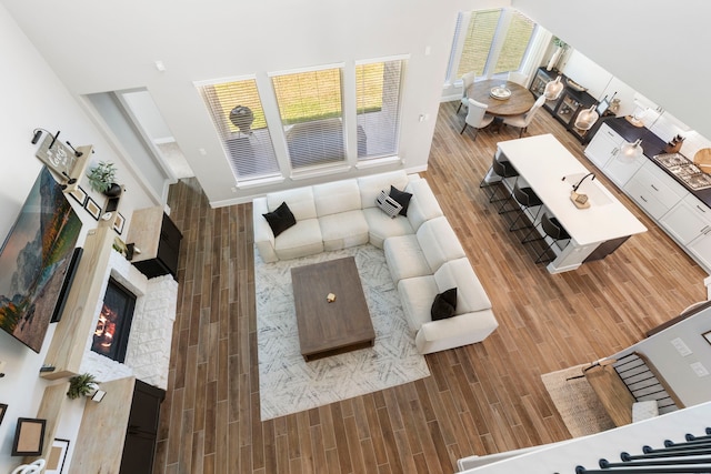 living room featuring a lit fireplace and wood finished floors