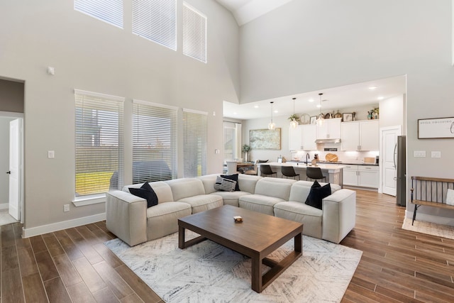 living area featuring wood finish floors, a wealth of natural light, and baseboards