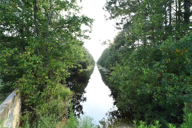 view of local wilderness