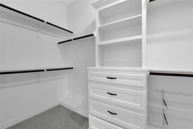 walk in closet with light colored carpet