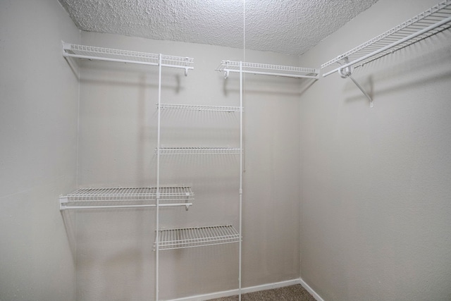 7627 Secretariat Ln, Houston, TX 77071 - spacious closet featuring carpet floors
