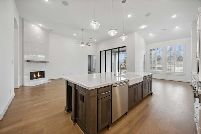 kitchen with stainless steel dishwasher, dark brown cabinets, a sink, open floor plan, and light wood-style flooring