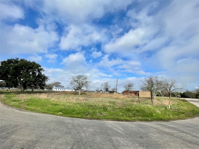 0 Chadwick Hogan Rd, Chappell Hill TX, 77426 land for sale