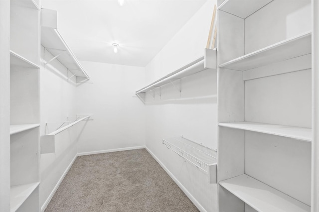 spacious closet with light carpet