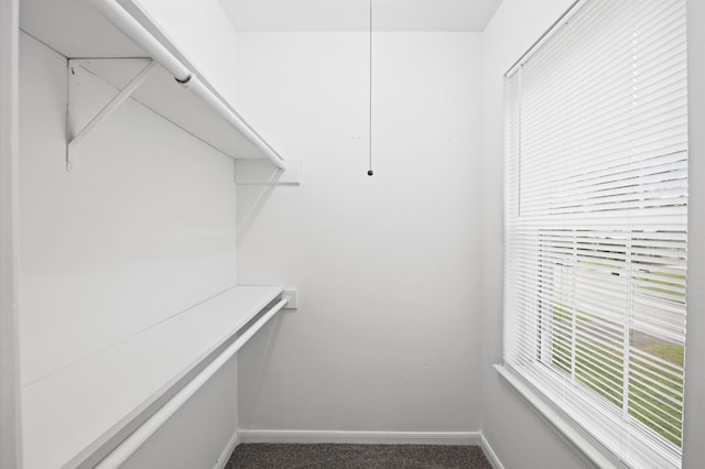 walk in closet featuring dark colored carpet