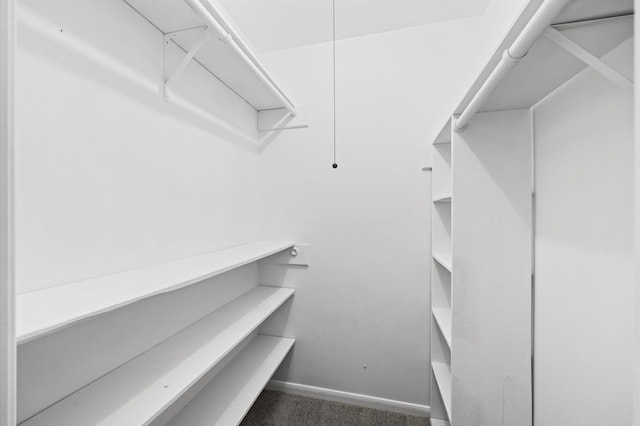 spacious closet with dark colored carpet