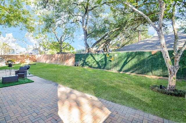 view of yard featuring a patio area and a fenced backyard