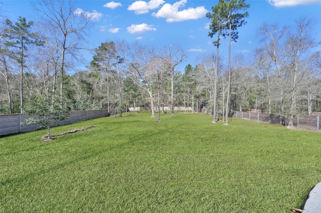 view of yard featuring a fenced backyard