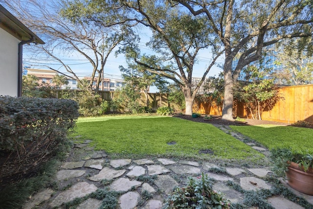 view of yard with a fenced backyard