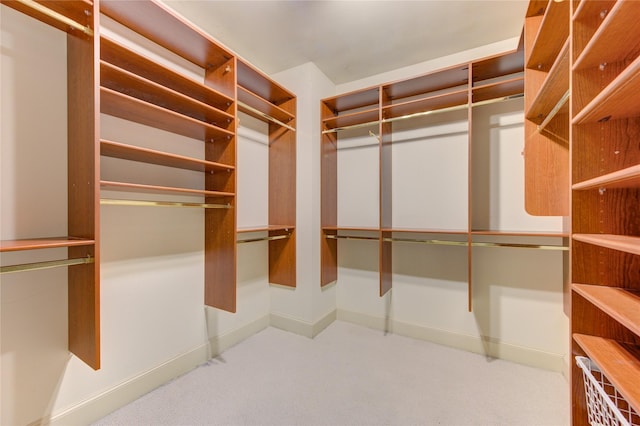 walk in closet featuring carpet flooring