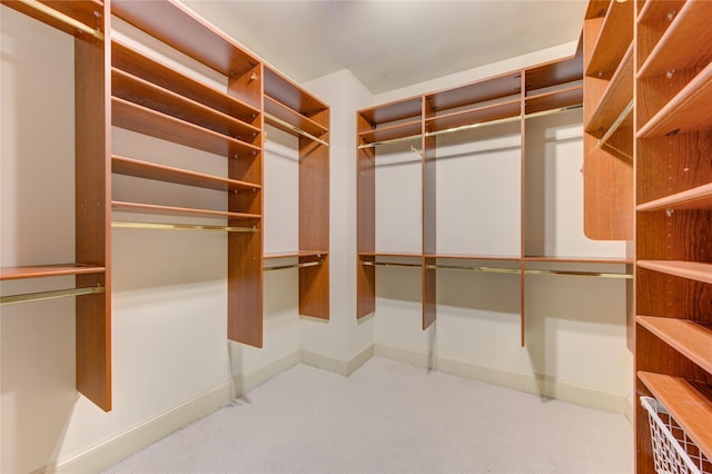 122 Vieux Carre Dr, Houston, TX 77009 - walk in closet featuring carpet flooring