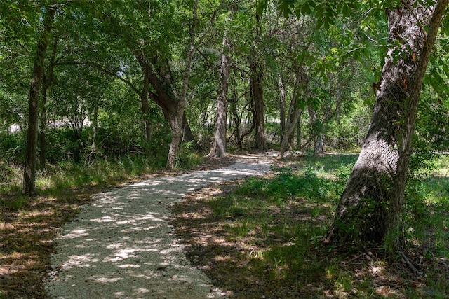 view of road with a wooded view