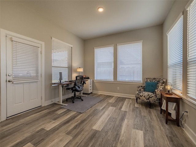 office with baseboards and wood finished floors