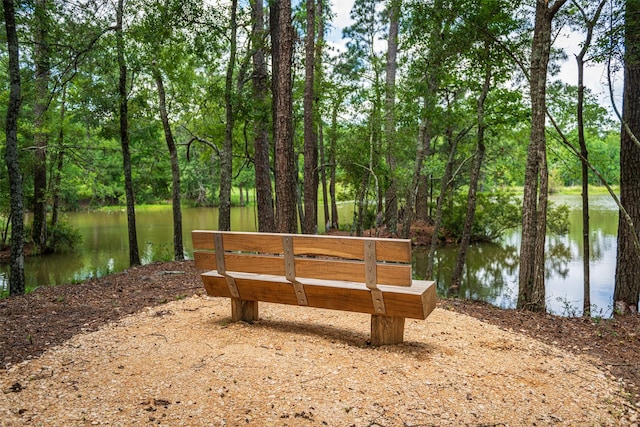 view of home's community featuring a water view