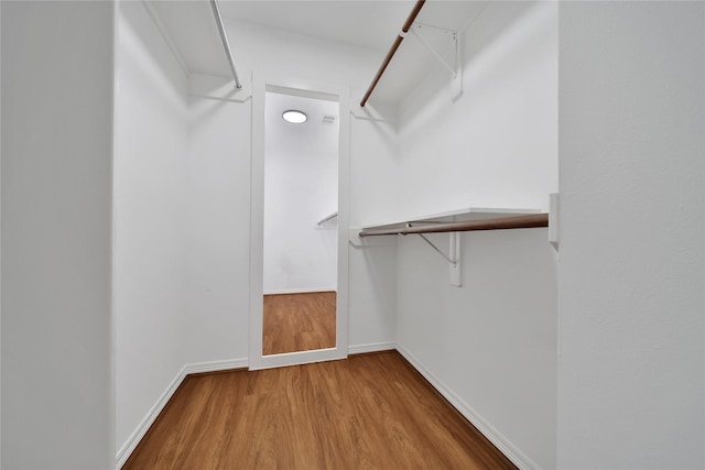 spacious closet featuring wood finished floors