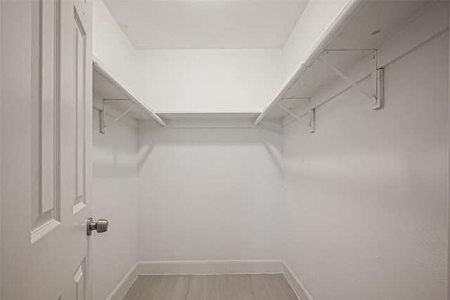 walk in closet featuring light wood-style flooring