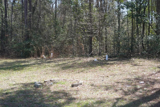 view of nature featuring a forest view