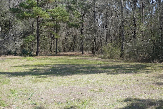 view of yard featuring a forest view