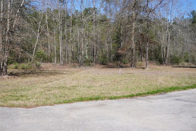 view of yard featuring a wooded view