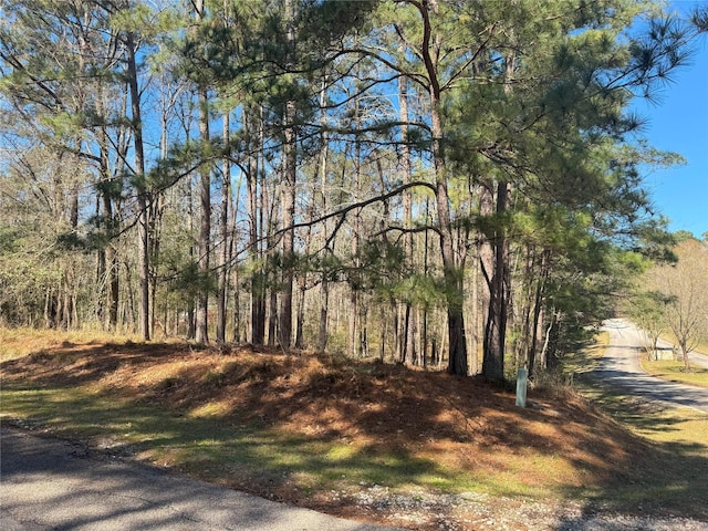 178 Twinstone Cir, Coldspring TX, 77331 land for sale