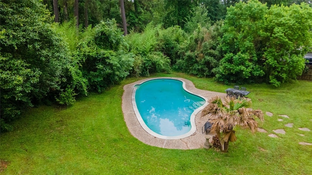 swimming pool featuring a lawn