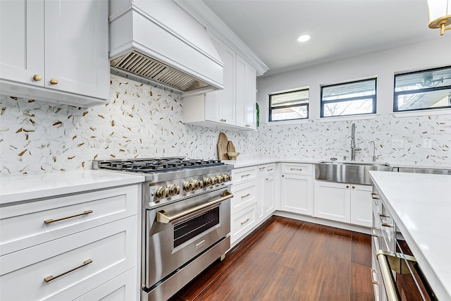 kitchen with tasteful backsplash, stainless steel stove, light countertops, a sink, and premium range hood