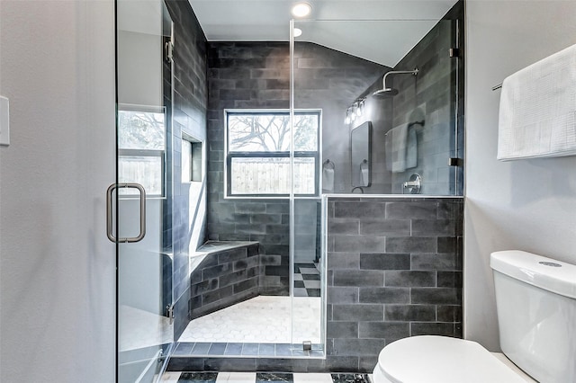 bathroom with toilet, plenty of natural light, a shower stall, and vaulted ceiling