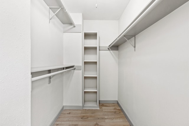 walk in closet featuring wood finished floors