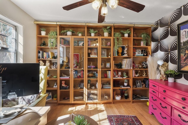 living area with a ceiling fan and wood finished floors