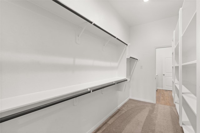 spacious closet featuring light colored carpet