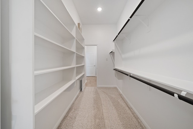 164 W Coralburst Loop, Montgomery, TX 77316 - spacious closet with light carpet