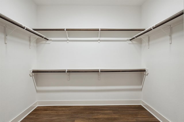 spacious closet with dark wood-type flooring