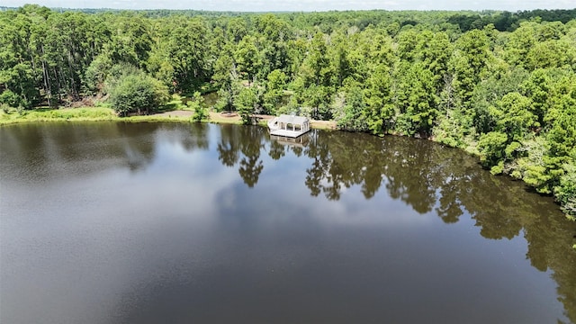 view of water feature with a wooded view and a floating dock