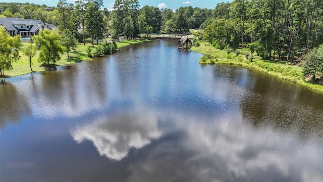 property view of water with a view of trees