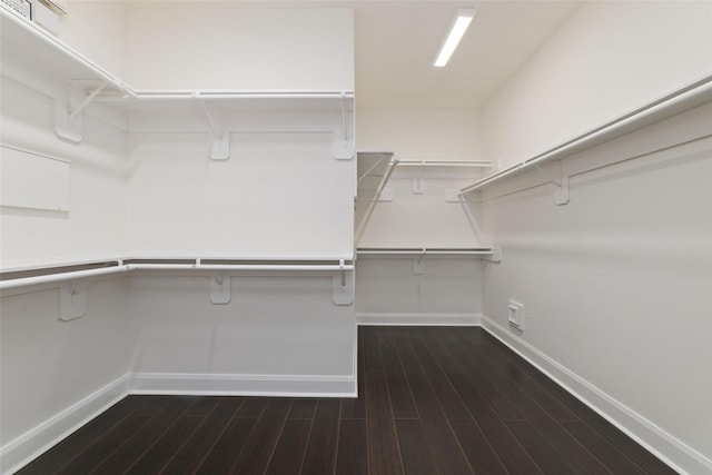 walk in closet featuring wood finished floors