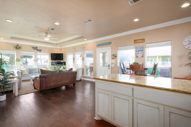 kitchen featuring a wealth of natural light, visible vents, and dark wood-style flooring