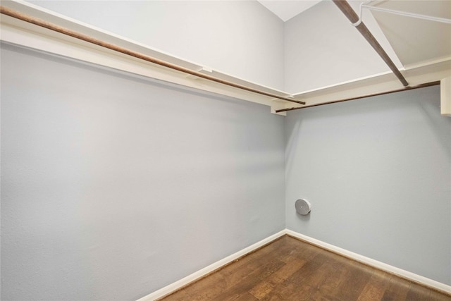 spacious closet with dark wood-style flooring