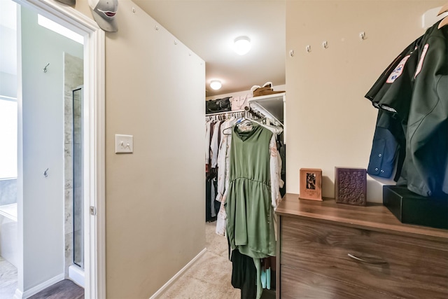 spacious closet with carpet