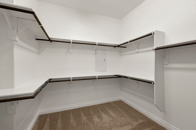 5615 Alexan Crest Dr, Fulshear, TX 77441 - walk in closet featuring carpet and electric panel
