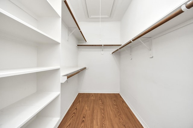 spacious closet featuring wood finished floors and attic access