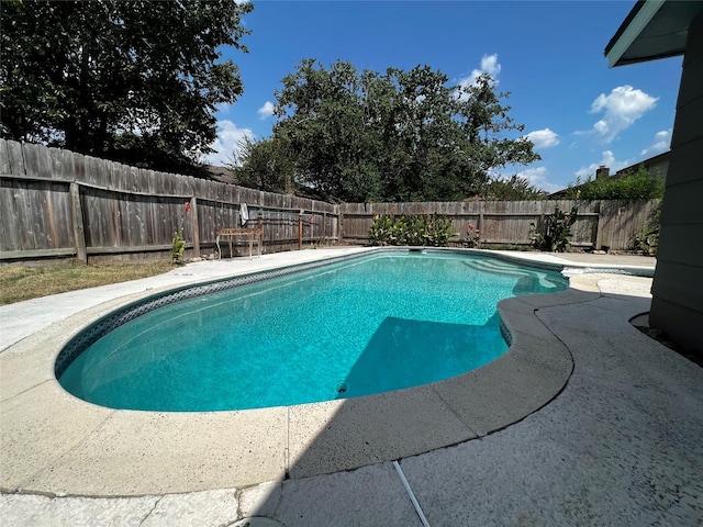 view of pool featuring a fenced in pool, a fenced backyard, and a patio